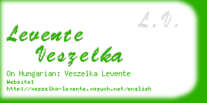 levente veszelka business card